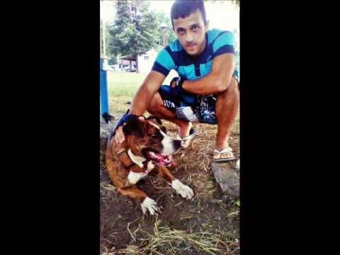 Lexja Batica - Domaci Zadatak ( Batica Sound 2012 )