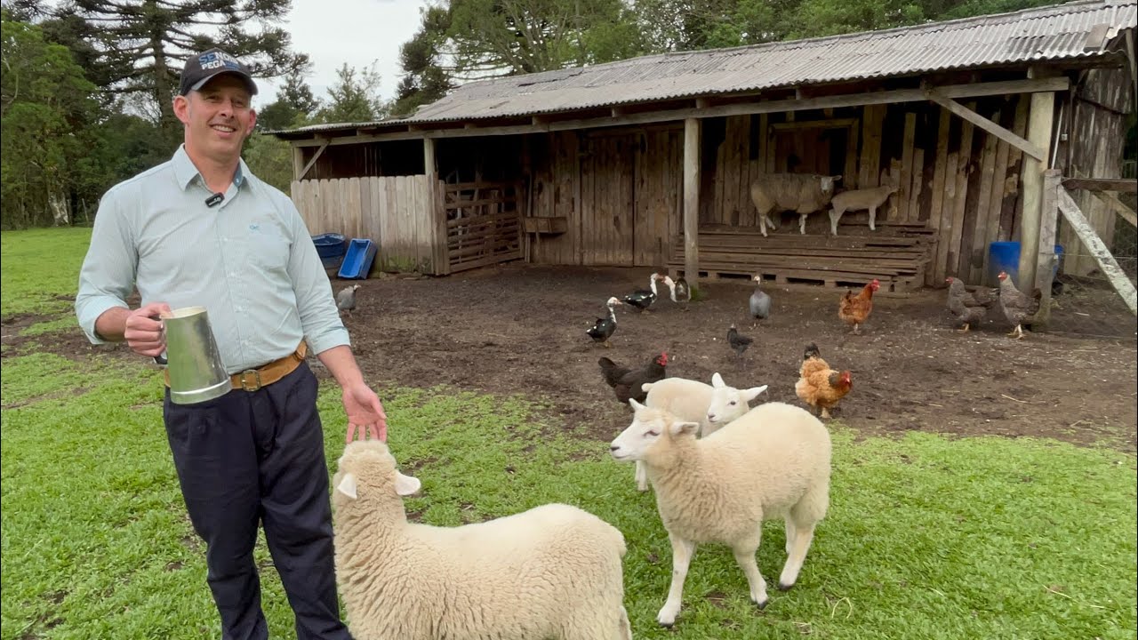 CAFÉ CAMPEIRO - SABOR DO SÍTIO COM EDSON DE SÃO FRANCISCO DE PAULA