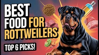 Best Dog Food for Rottweilers (Vet-Approved): 6 Powerful Nut