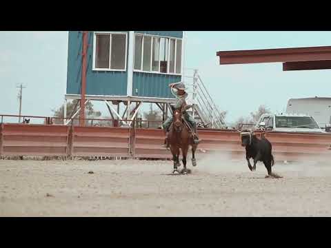 Video 1