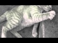 chatmonchy - doppelganger 