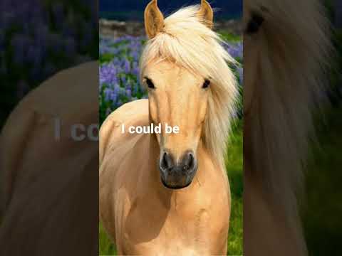 , title : 'I could be any color! #horse #edits'