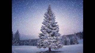 Silent Night - Franz Xaver Gruber (Piano cover)