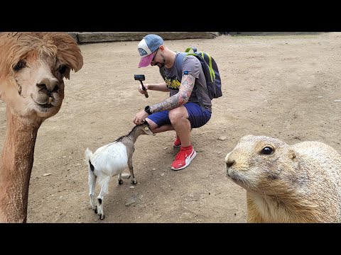 VLOG da Parco Pallavicino - Stresa