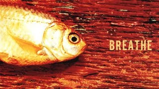 The Prodigy - Breathe (Mefjus & Camo & Krooked Remix)