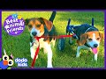 Annoying Little Dog Brother Winds Up Saving The Day | Best Animal Friends | Dodo Kids