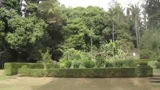 preview picture of video 'Royal Botanic Gardens. Peradeniya, Sri Lanka'