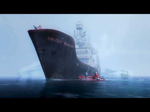 Trailer collage of playful reef scenes matching bright pop cues