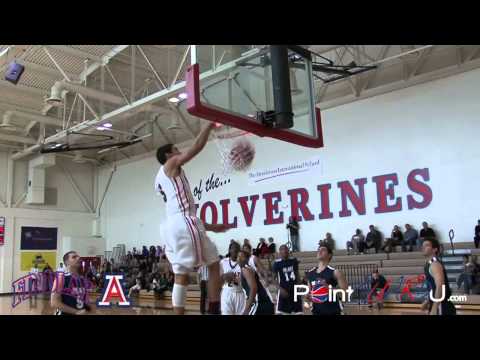 PointguardU.com: Arizona Wildcat Nick Johnson Season Highlights (HD)