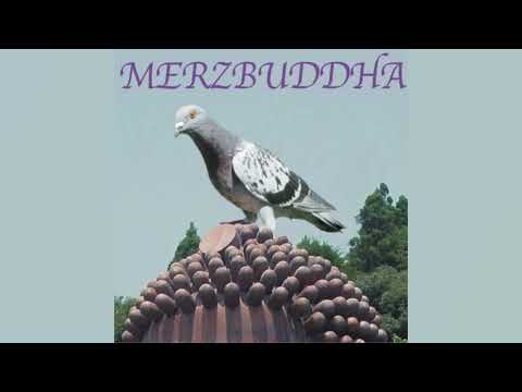 Merzbow - Merzbuddha (Full Album)