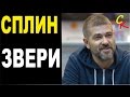 ЗВЕРИ - Сплин (А.Васильев) Бой+ПРАВИЛЬНЫЕ аккорды (КАВЕР) 