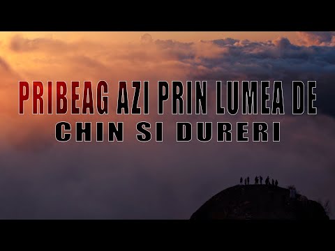 Biblioteca Crestina - Pribeag azi prin lumea de chin si dureri