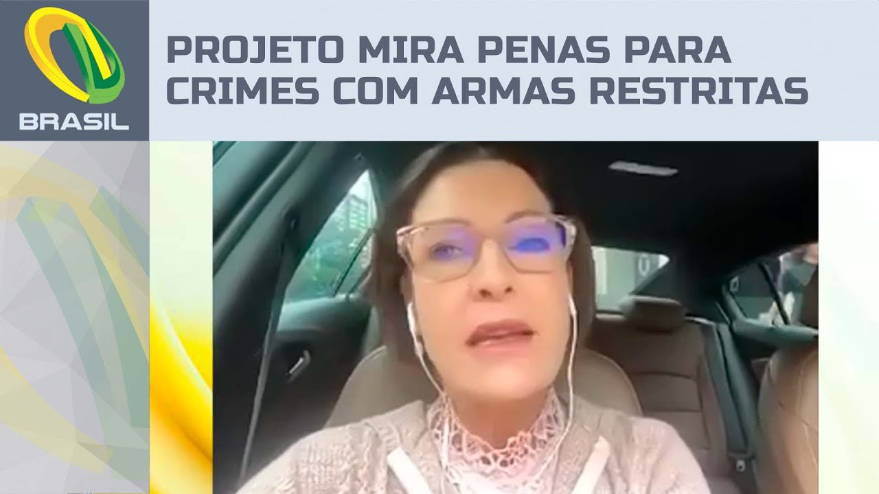 Cristina Graeml: Projeto visa endurecer penas de crimes com armas de uso restrito