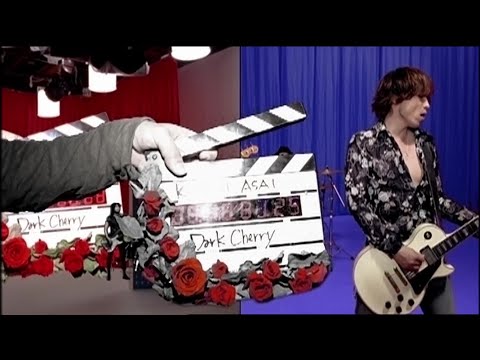 浅井健一 -&lsquo;Dark Cherry&rsquo; Music Video