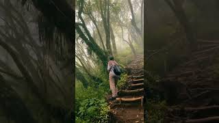 Download lagu Story Wa pendaki gunung viral - Gunung Indonesia #shorts #pendaki #story #gunungindonesia mp3 Download lagu Story Wa pendaki gunung viral - Gunung Indonesia #shorts #pendaki #story #gunungindonesia mp3