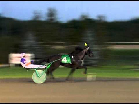 2012 O'Brien Award Nominees - Two-Year-Old Trotting Fillies