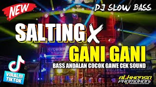 Download lagu DJ SALTING X GANI GANI - VIRAL TIKTOK - SLOW BASS HOREG || ALKHANSA CHANNEL mp3
