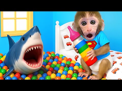 Singe Bon Bon trouve le biberon du requin dans la salle pleine de jouets