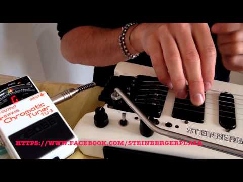 Steinberger TRANSTREM Transposing Tremolo assembly, Made in USA, original OEM unit, includes TT trem arm, stainless steel TT tuning adjustment Tool, hex wrenches, (2) sets of calibrated TT strings, Phillips head mounting screws image 17
