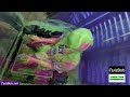 Jessie Gets Gunged Twice In The Gunge Tank As Part Of A Charity Fundraiser