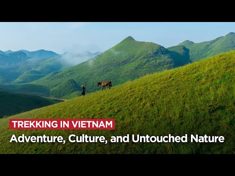 Trekking in Vietnam: Adventure, Culture, and Untouched Nature