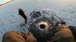 Зимняя рыбалка на ротана - про рыбалку