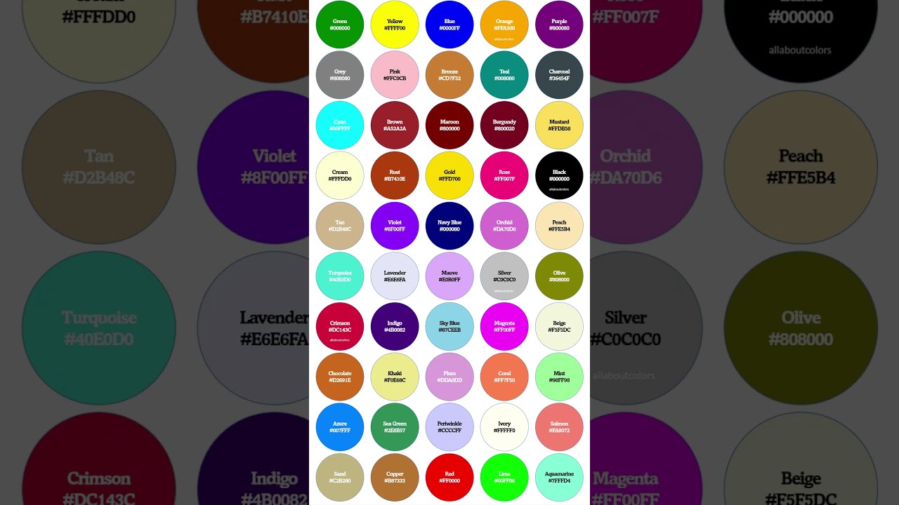🎨 Top 50 Colors with HEX Codes 🌈