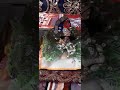 ओ सावरे भरोसा मेरा नही हारेगा हैं भरोस
