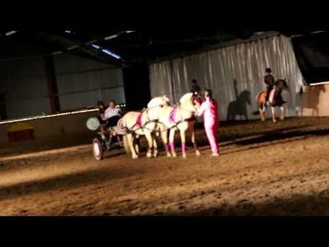 Tandemkjøring på Fjordane, mitt Fjordane