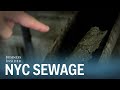 Here's where New York City's sewage really goes