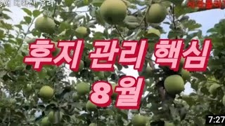 2021 후지 사과 관리 방안.당면현안