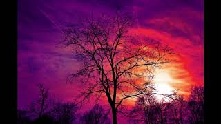 Darkiel Ft  Benny Benni // Soy De La Calle