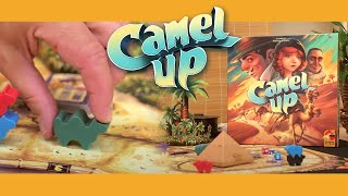 Video de Camel Up