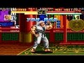 Art Of Fighting Mr Karate
