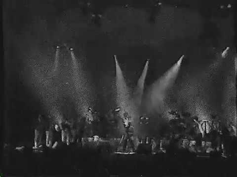 reportage phil collins 1990 TQS