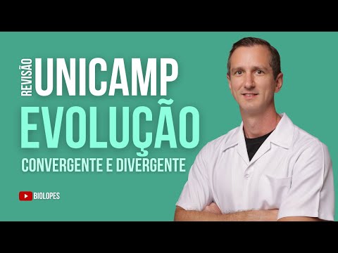 UNICAMP 2024 - O conceito apresentado na figura a seguir é importante para fundamentar