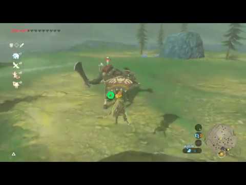 Breath of the Wild for Wii U - Lynel to Trial of the Sword - zS Gaming Stream