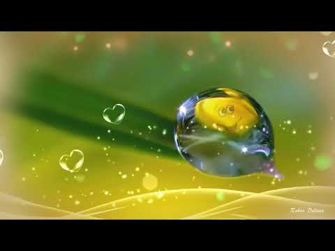 ♫ ♪ Die Kraft in dir ♪ ♫ Michel van Dam