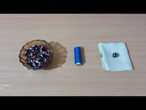Fun family game #24/fun games for all parties