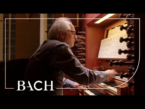 Bach - Sonata no. 4 in E minor BWV 528 - Van Doeselaar | Netherlands Bach Society