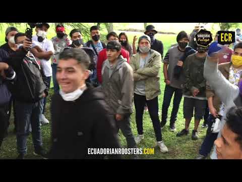 #Jxta VS #Arddex VS #Orion VS #Martin | Gira de Plazas Sobredosis by: #ECR | Freestyle Ecuatoriano