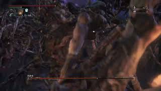 ボス戦のみ動画化していくBloodborne#06（隠し街ヤハグル）
