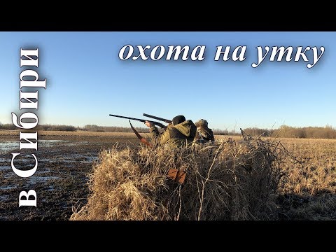 Охота на утку! Весна 2019 год!