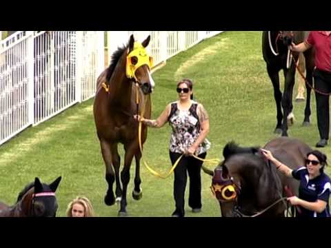 ASCOT 07 NOV 2015, RACE 1 - WOBBEGONG - JUSTINE ERKELENS