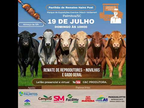 67º Remate de Reprodutores, Novilhas e Gado Geral!📍Palmitos🗓️ 19/07, Domingo. ⏰10:00 hs.