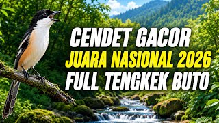 Download lagu 🔴 Cendet Gacor Juara Nasional Materi Full Tengkek Buto mp3