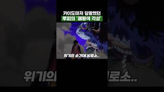 원피스) 카이도마저 당황했던 루피의 패왕색 각성