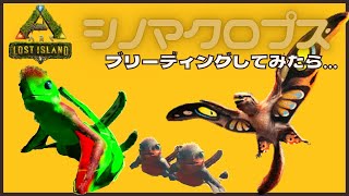 ロストアイランド『シノマクロプス』友好的な飛行恐竜をテイム・ブリーディング🥚ARK:MOD94新恐竜/MOD/アーク/新マップ
