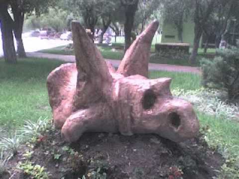 kamphiones - creedence born on the bayou