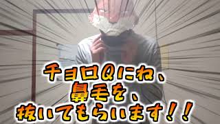 某所に提供した自己紹介兼チョロＱ鼻毛抜き動画